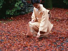 写真1