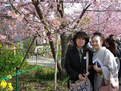 写真4